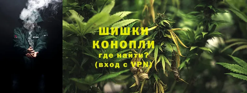 Бошки марихуана Ganja  где продают   Камызяк 